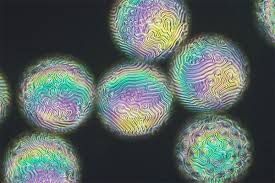  liquid crystals